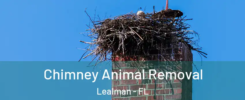  Chimney Animal Removal Lealman - FL