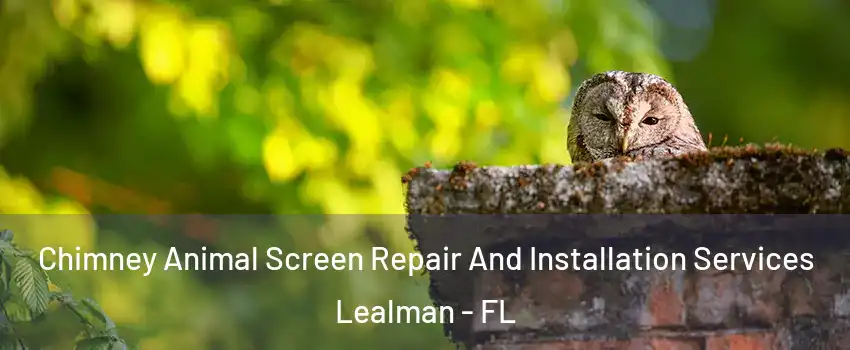  Chimney Animal Screen Repair And Installation Services Lealman - FL
