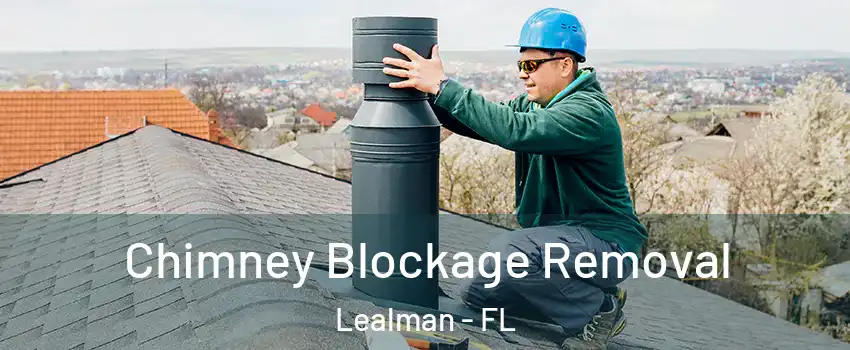  Chimney Blockage Removal Lealman - FL
