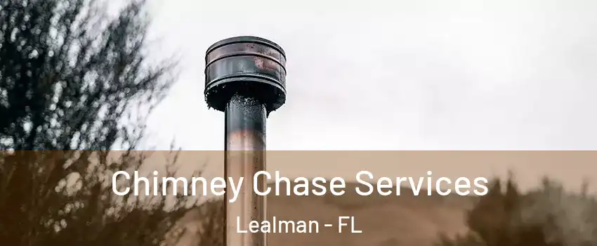  Chimney Chase Services Lealman - FL
