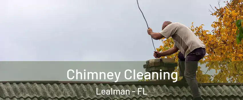  Chimney Cleaning Lealman - FL