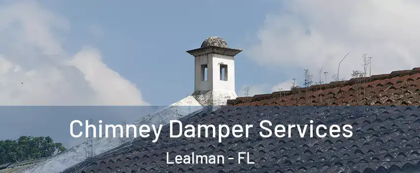  Chimney Damper Services Lealman - FL