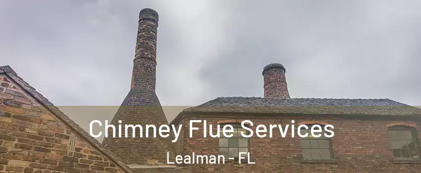  Chimney Flue Services Lealman - FL