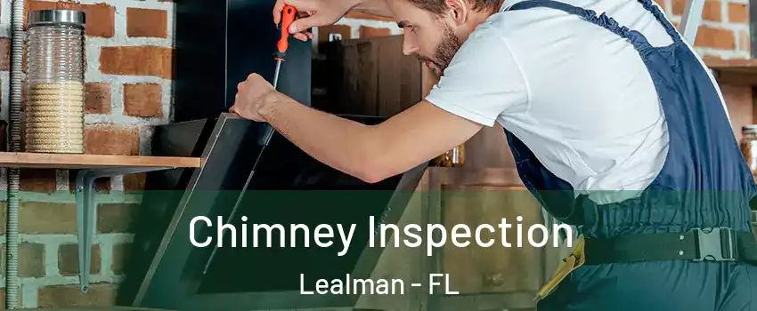  Chimney Inspection Lealman - FL