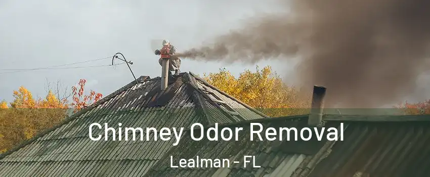  Chimney Odor Removal Lealman - FL