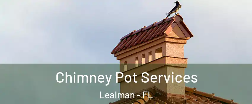  Chimney Pot Services Lealman - FL