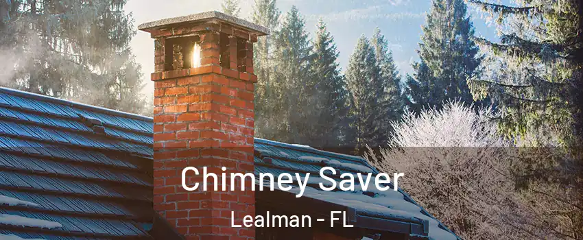  Chimney Saver Lealman - FL