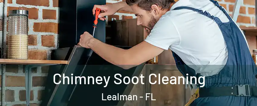  Chimney Soot Cleaning Lealman - FL