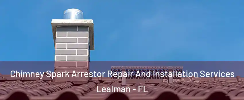  Chimney Spark Arrestor Repair And Installation Services Lealman - FL
