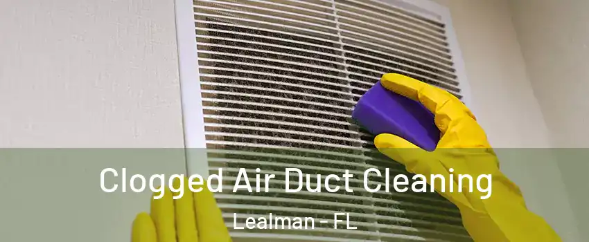  Clogged Air Duct Cleaning Lealman - FL