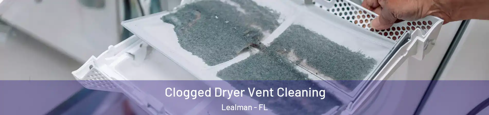  Clogged Dryer Vent Cleaning Lealman - FL