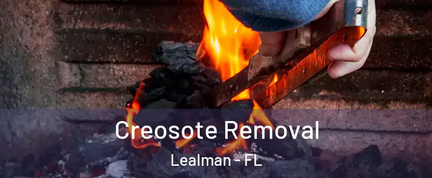  Creosote Removal Lealman - FL