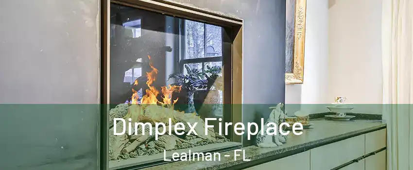  Dimplex Fireplace Lealman - FL