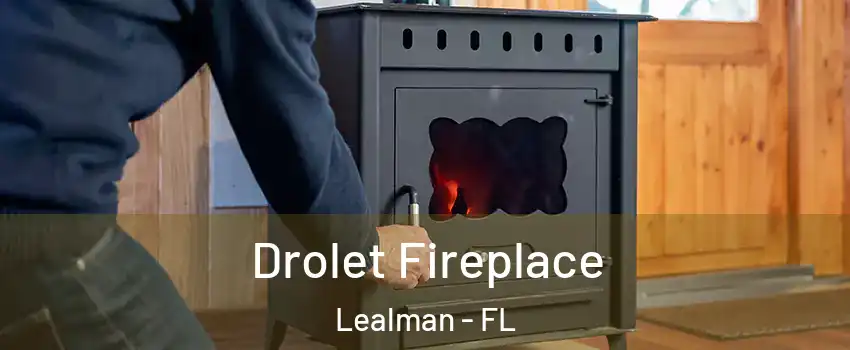  Drolet Fireplace Lealman - FL