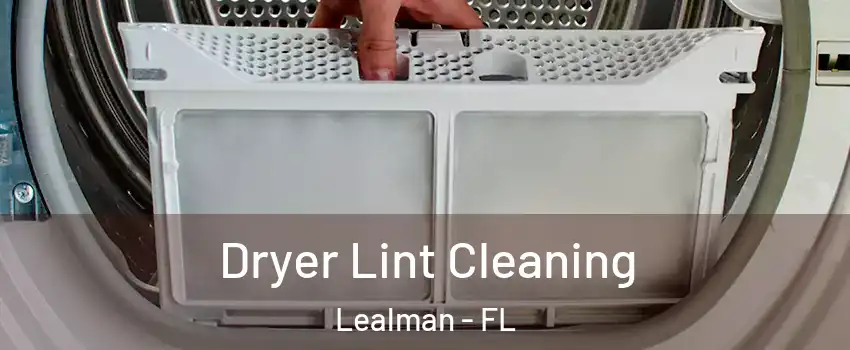  Dryer Lint Cleaning Lealman - FL