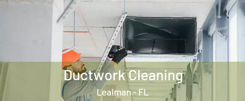  Ductwork Cleaning Lealman - FL