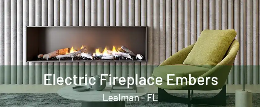  Electric Fireplace Embers Lealman - FL