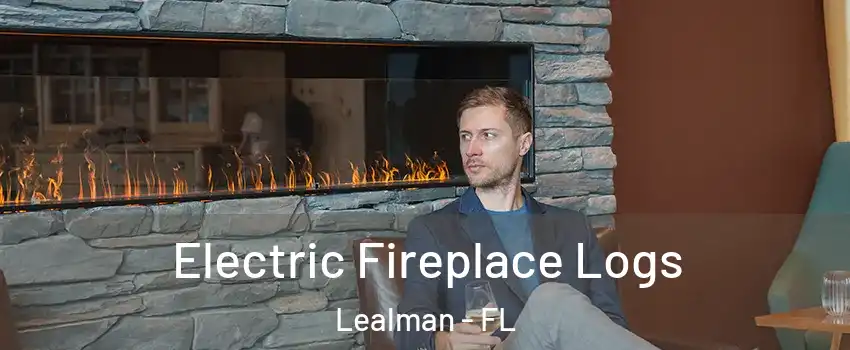  Electric Fireplace Logs Lealman - FL