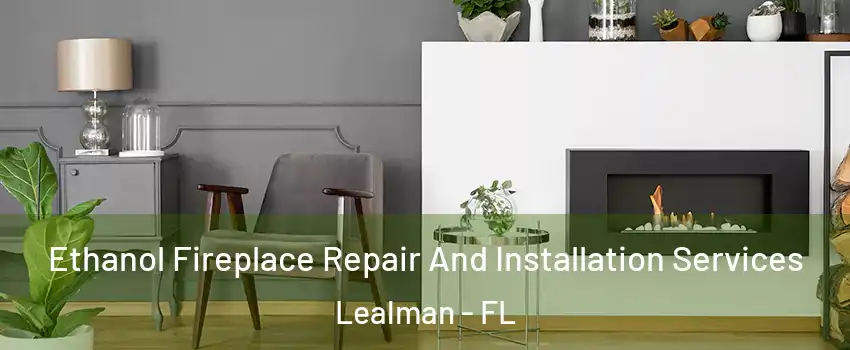  Ethanol Fireplace Repair And Installation Services Lealman - FL