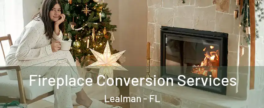  Fireplace Conversion Services Lealman - FL