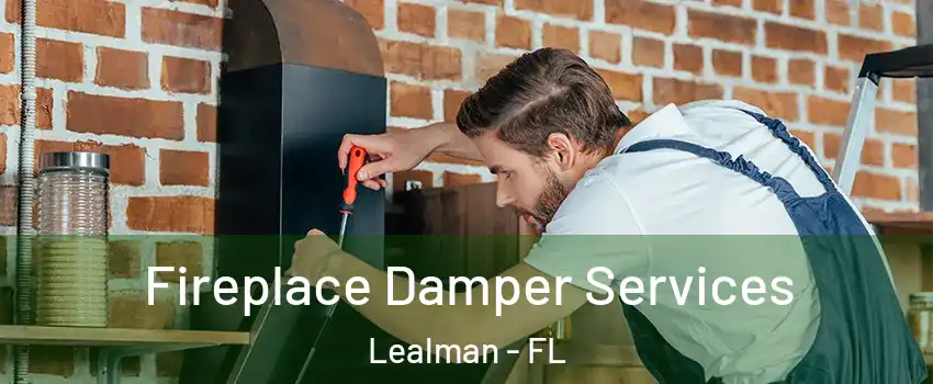  Fireplace Damper Services Lealman - FL