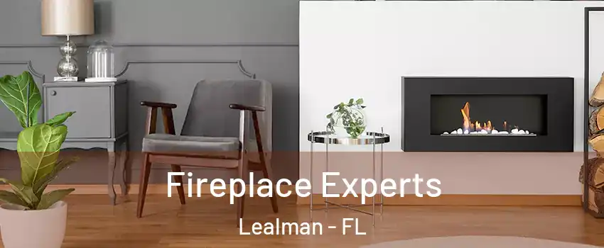  Fireplace Experts Lealman - FL