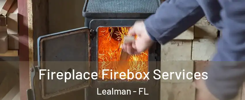 Fireplace Firebox Services Lealman - FL