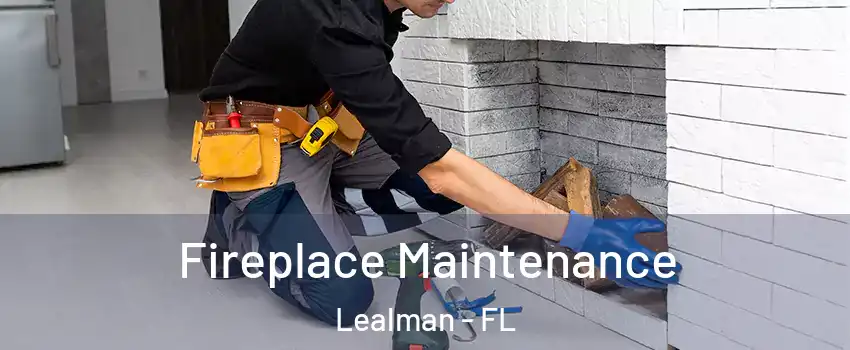  Fireplace Maintenance Lealman - FL