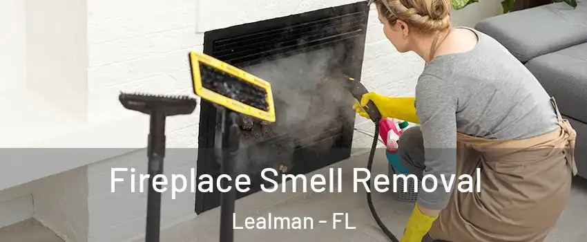  Fireplace Smell Removal Lealman - FL
