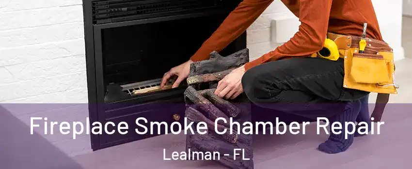  Fireplace Smoke Chamber Repair Lealman - FL