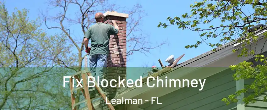  Fix Blocked Chimney Lealman - FL