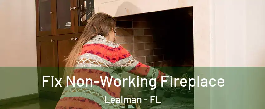  Fix Non-Working Fireplace Lealman - FL