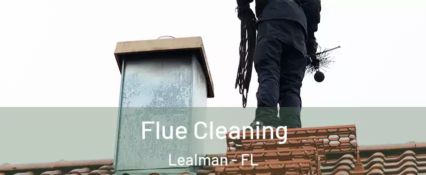  Flue Cleaning Lealman - FL