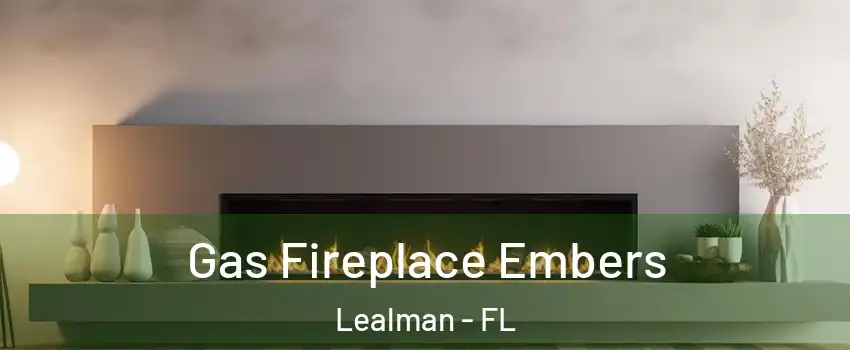  Gas Fireplace Embers Lealman - FL