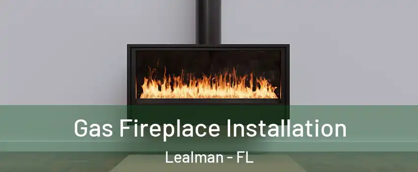  Gas Fireplace Installation Lealman - FL