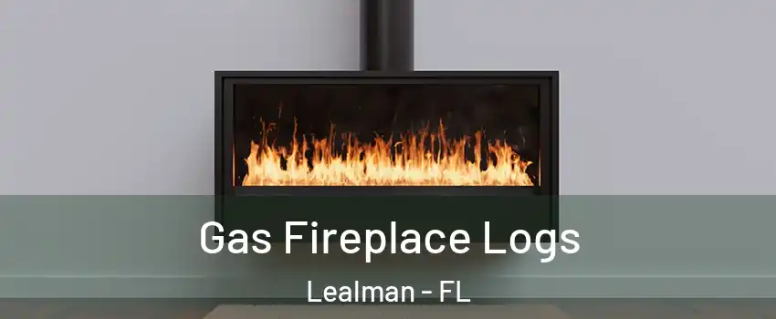  Gas Fireplace Logs Lealman - FL