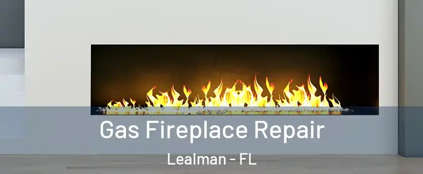  Gas Fireplace Repair Lealman - FL