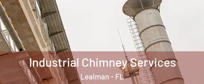  Industrial Chimney Services Lealman - FL