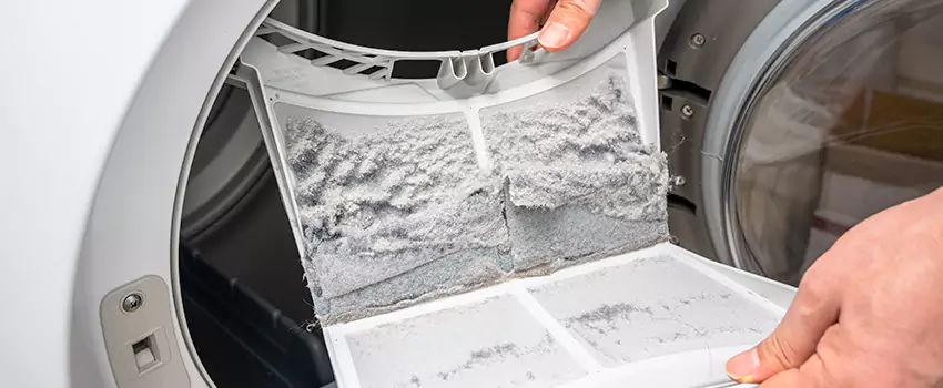 Best Dryer Lint Removal Company in Lealman, Florida