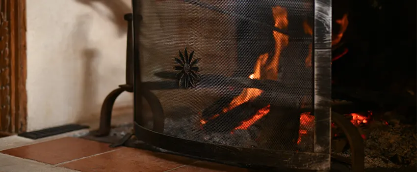 Electric Metal Fireplace installation Services in Lealman, FL