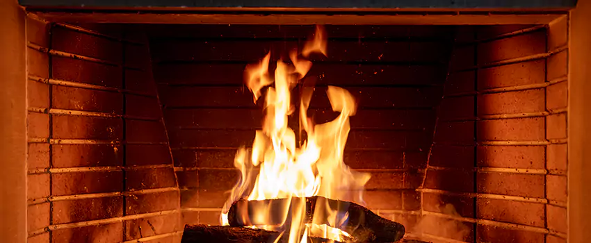 Soot Cleanup Services in Lealman, FL