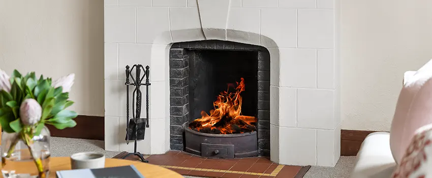 Valor Fireplaces and Stove Repair in Lealman, FL