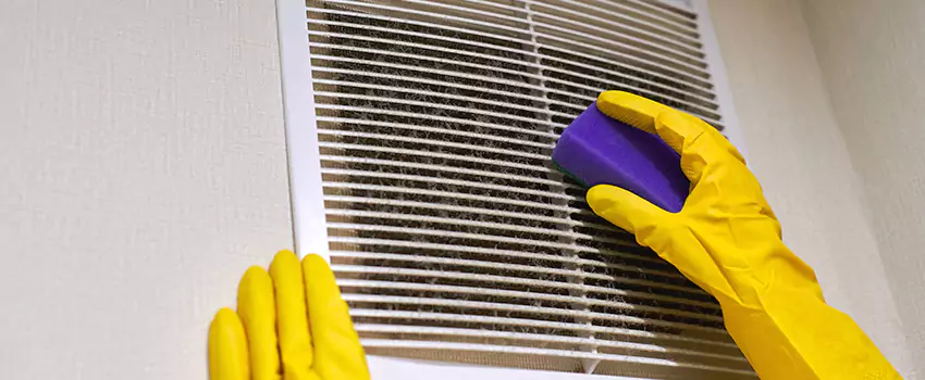 Vent Cleaning Company in Lealman, FL