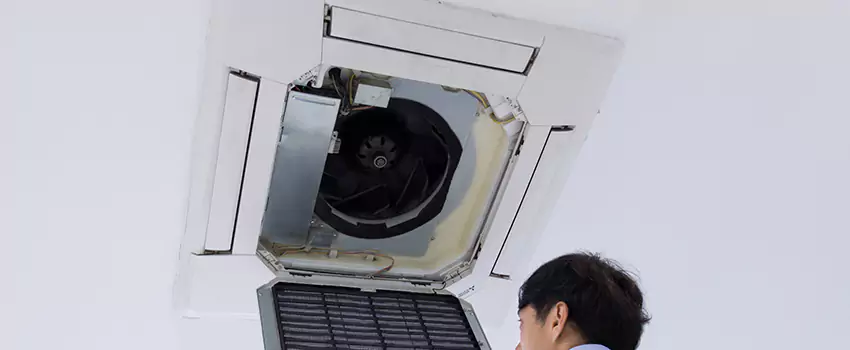 Benefits of Professional Air Duct Cleaning in Lealman, Florida