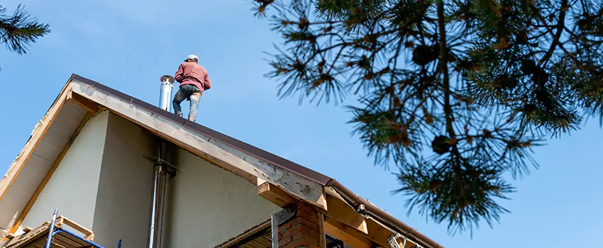 Birds Removal Contractors from Chimney in Lealman, FL