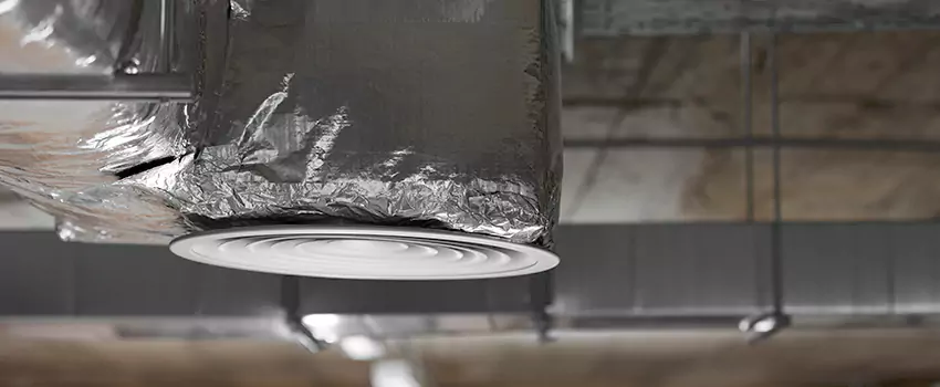 Signs of Dust Accumulation in Vents in Lealman, FL