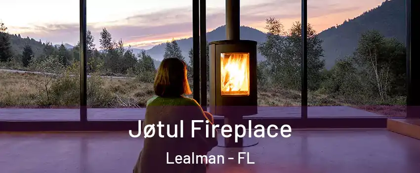  Jøtul Fireplace Lealman - FL