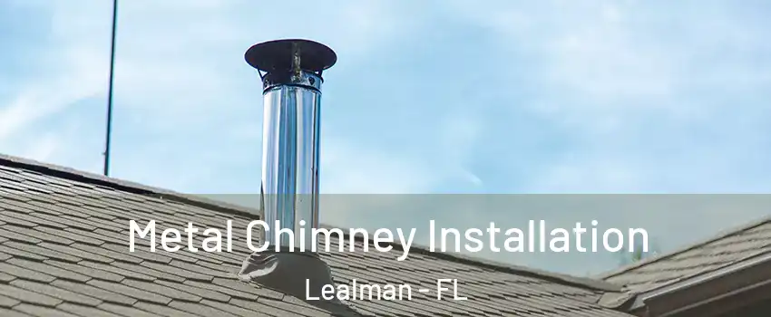  Metal Chimney Installation Lealman - FL