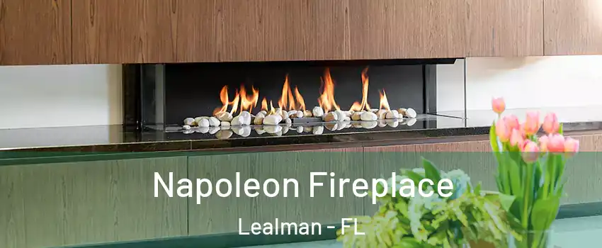  Napoleon Fireplace Lealman - FL