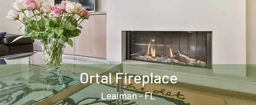 Ortal Fireplace Lealman - FL
